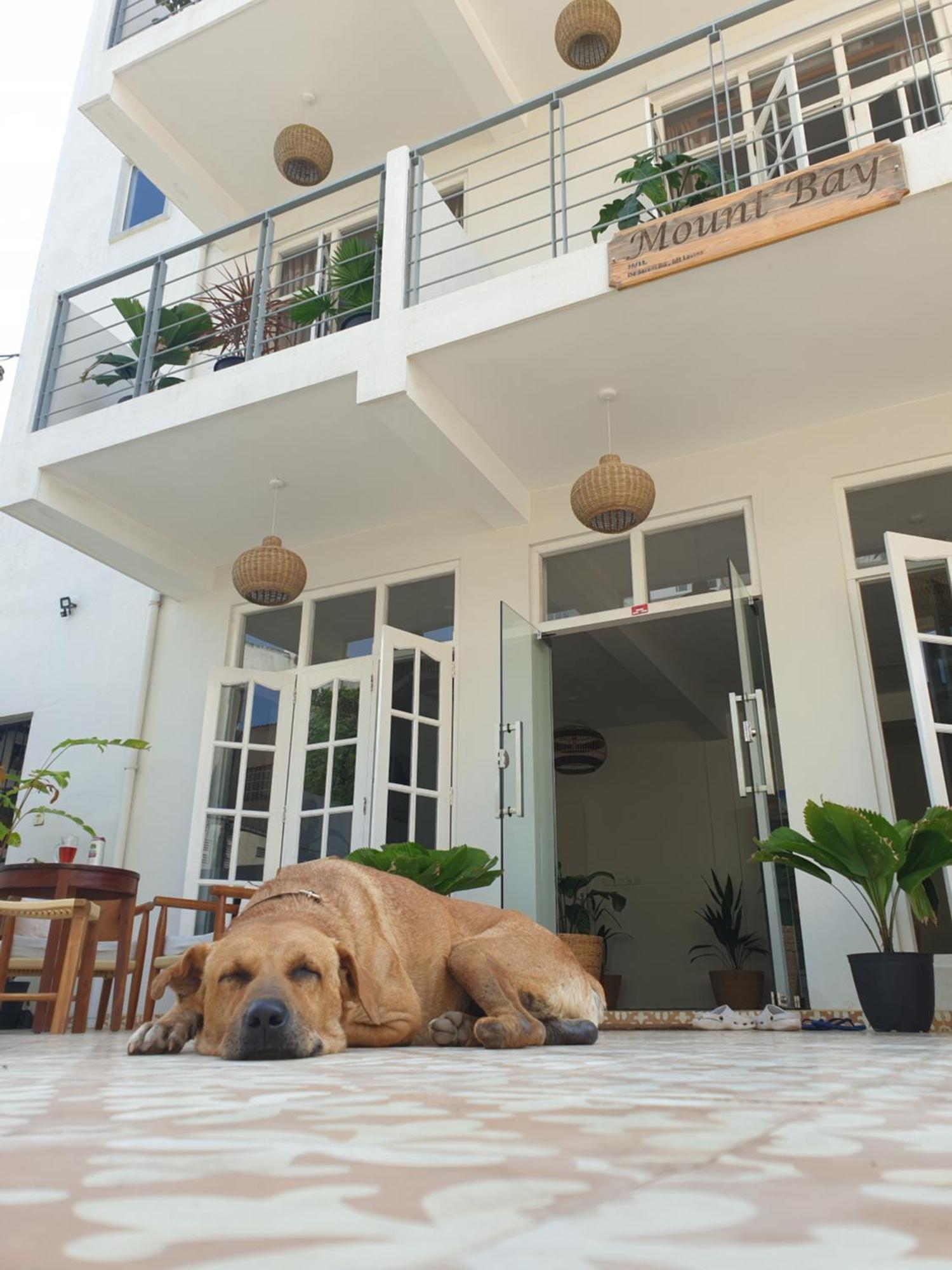 Mountbaylk Hotel Dehiwala-Mount Lavinia Exterior photo
